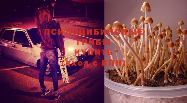 молекула духа Магадан