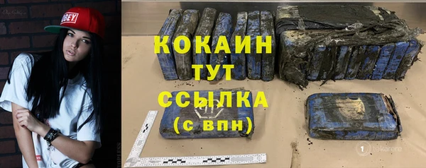 молекула духа Магадан