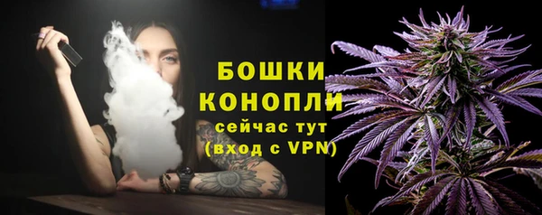 молекула духа Магадан